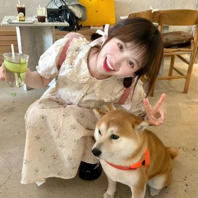 搞钉修车公司